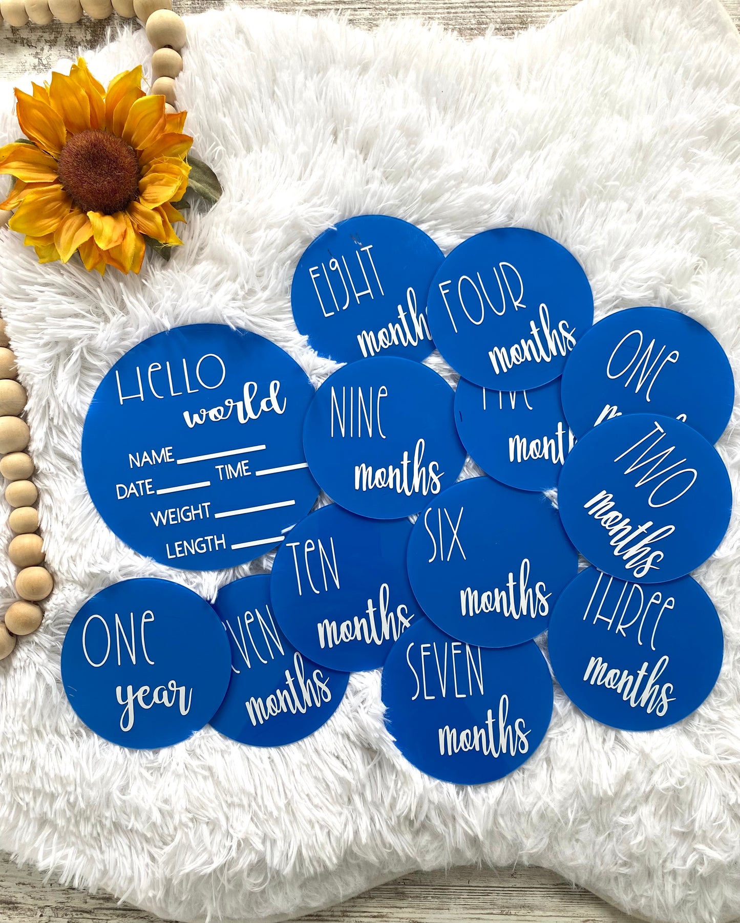 First Year Memories Baby Milestone Disc Set